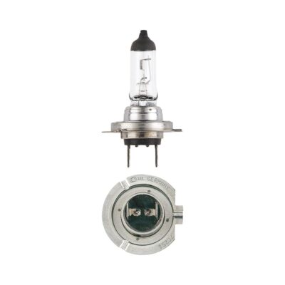 H7 24V 70W Globe